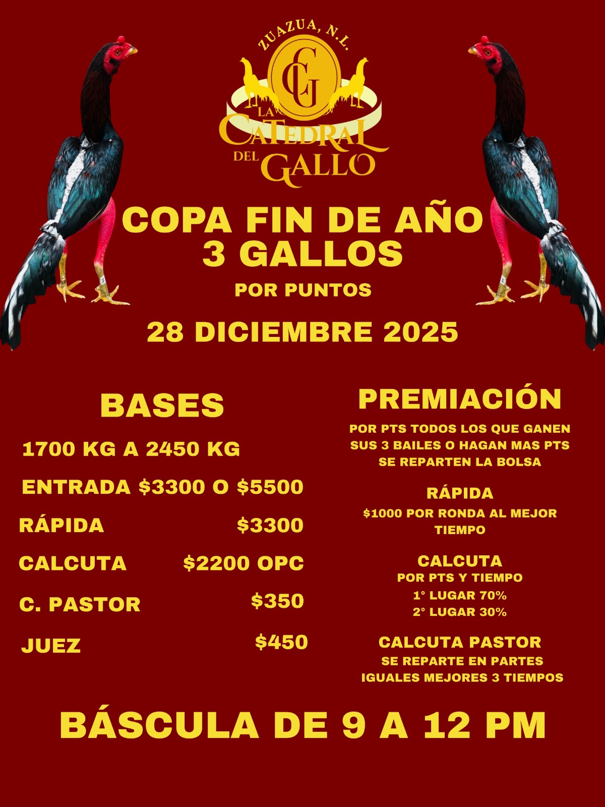 TORNEO 3 GALLOS